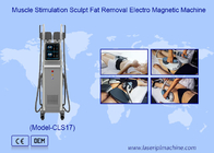 7 Tesla Electro Magnetic Rf Ems Muscle Stimulation Body Sculpting Machine